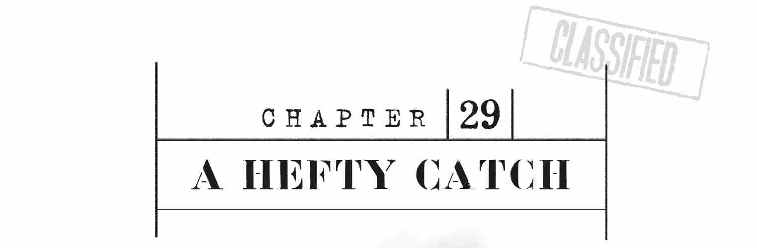 CHAPTER 29 A Hefty Catch