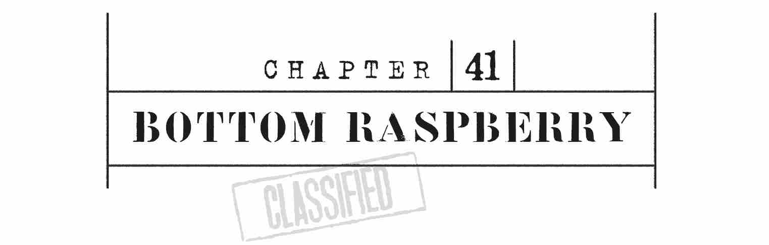 CHAPTER 41 Bottom Raspberry