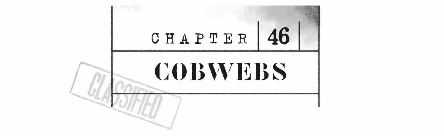 CHAPTER 46 Cobwebs