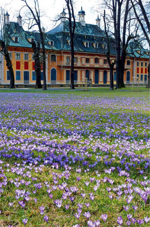 54_LP_Lustschloss_Pillnitz.jpg