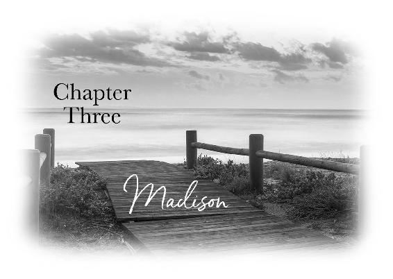 Chapter Three - Madison