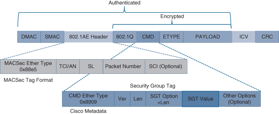 A diagram shows the MACsec Ethernet frame with SGT.