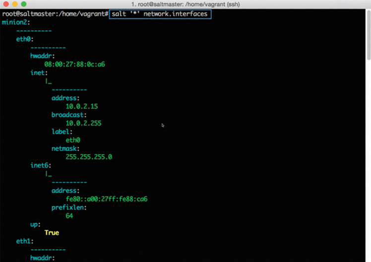 A screenshot shows the result of SaltStack CLI command result. The mentioned result is home/vagrant# salt 'asterisk' network.interfaces.