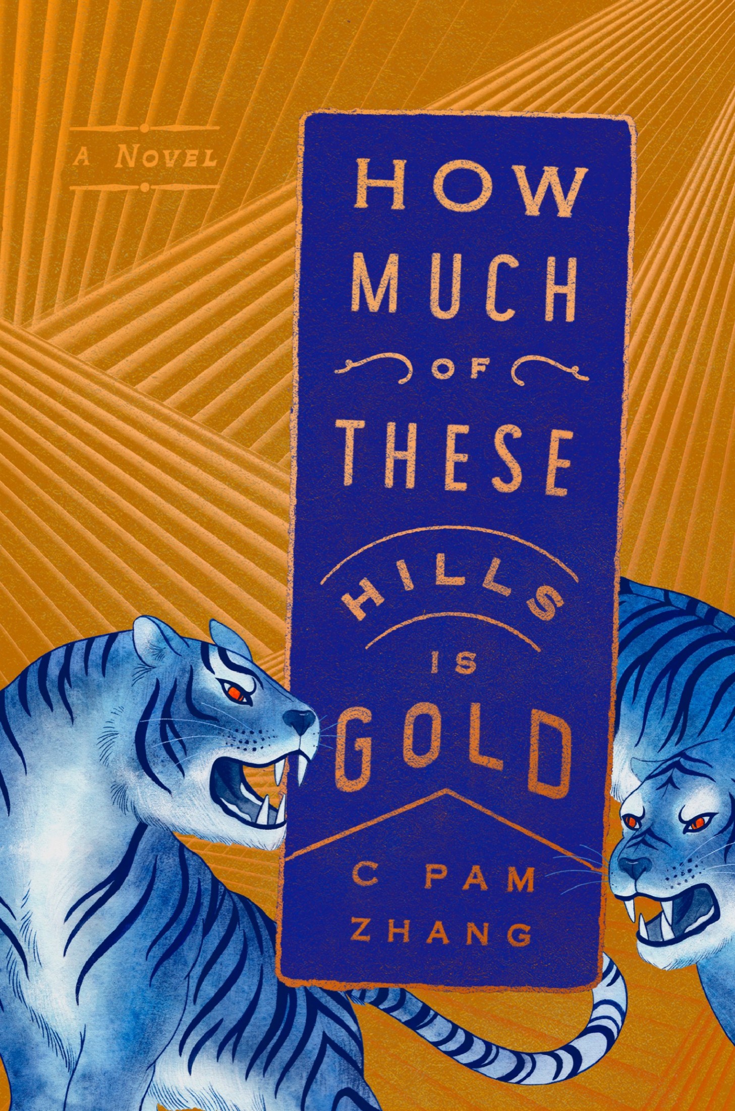 Cover for How Much of These Hills Is Gold