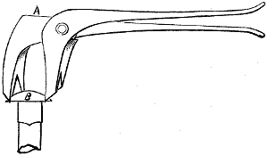 Fig. 458