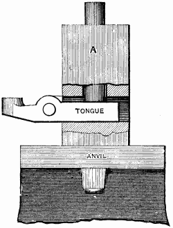 Fig. 2904