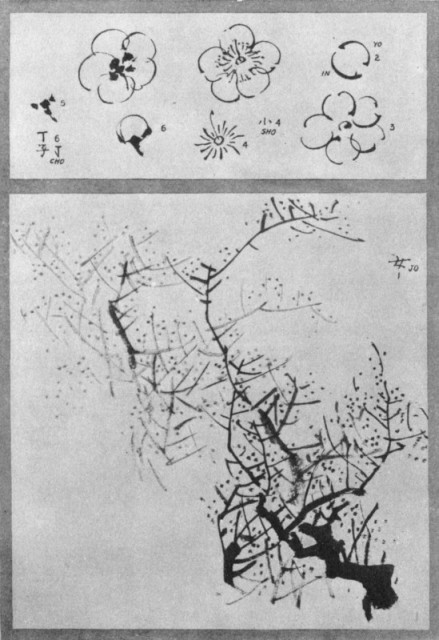 The Plum Tree and Blossom. Plate L.