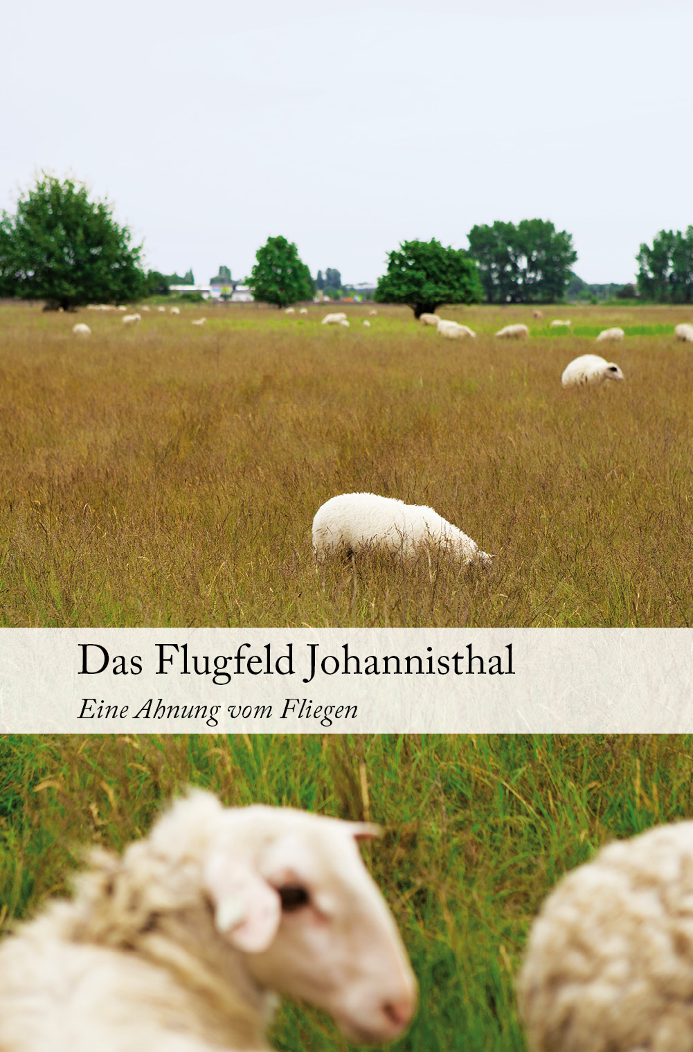 Das Flugfeld Johannisthal