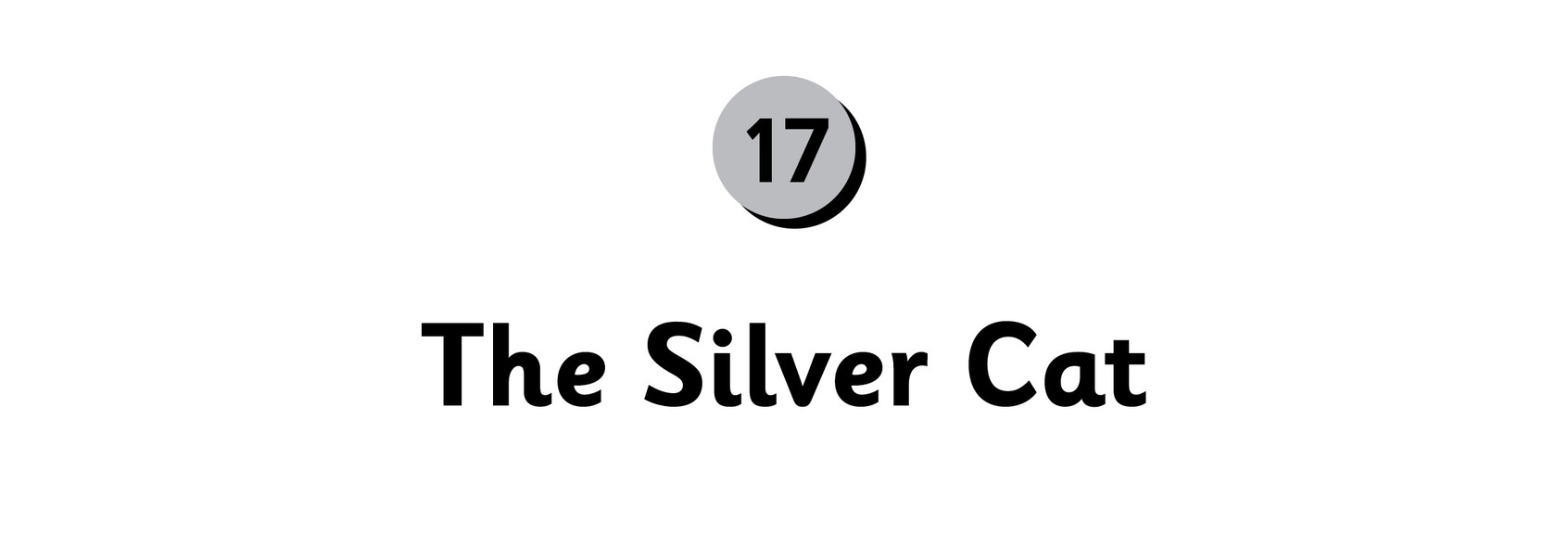 17 The Silver Cat