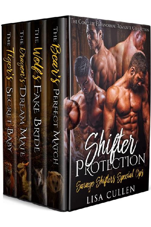 Shifter Protection Box Set Cover