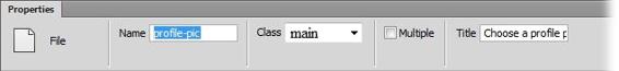 For such a powerful feature, the File form element has few properties. Give it a name for processing purposes. You should also give it a title to provide details for screen readers. If you want your visitors to choose and send multiple files, turn on the Multiple checkbox.