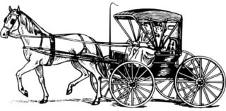 horse and carriage