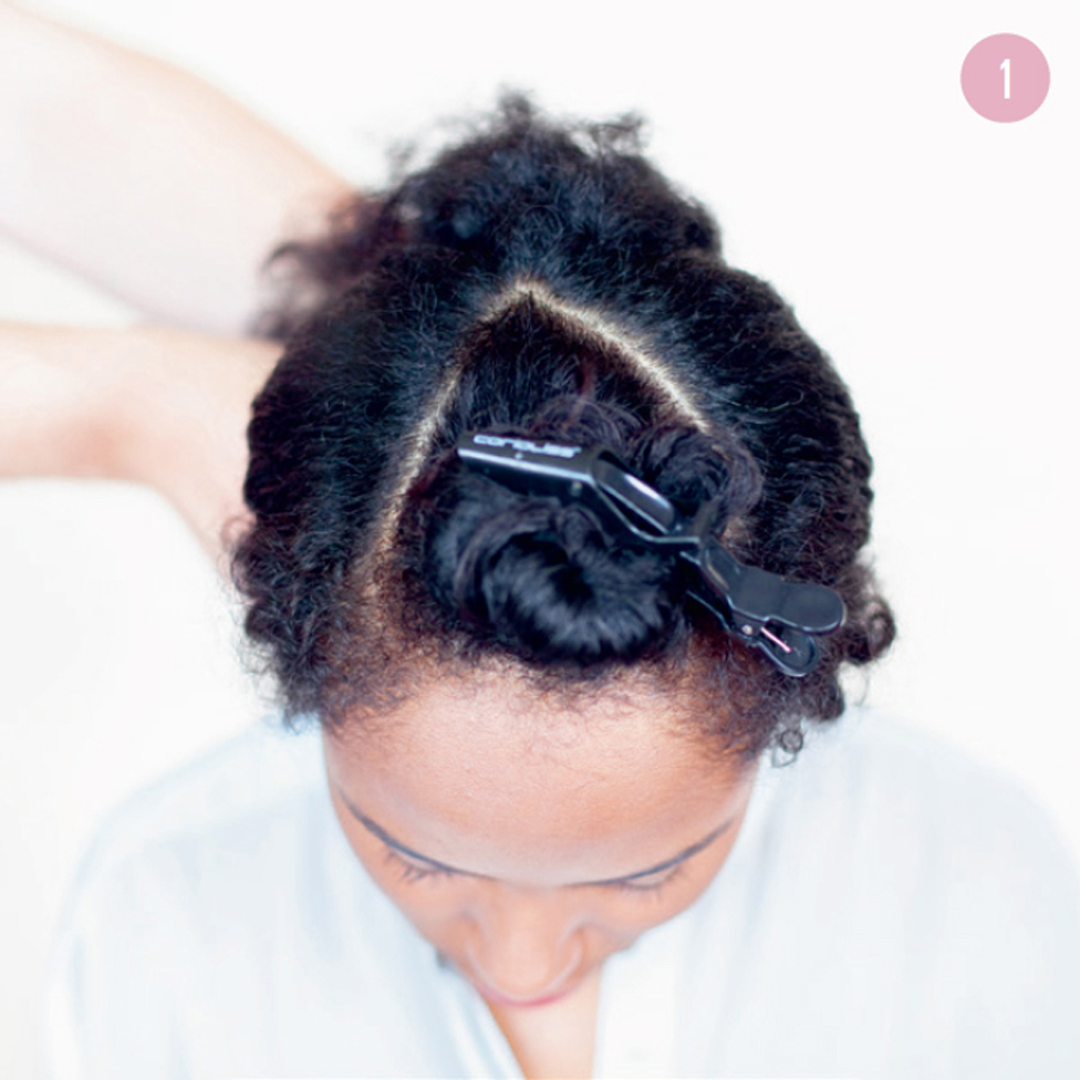 1 Pull out a triangle shape of hair from the top of your head and set it in place with the alligator clip