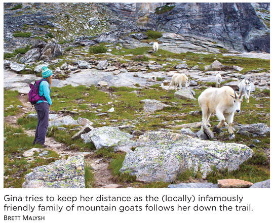 Gina tries to keep her distance as the (locally) infamously friendly family of mountain goats follows her down the trail. BRETT MALYSH