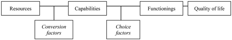 Figure 21.1 The process of human development