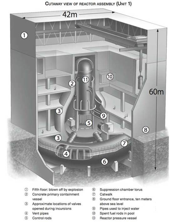 cutaway.png