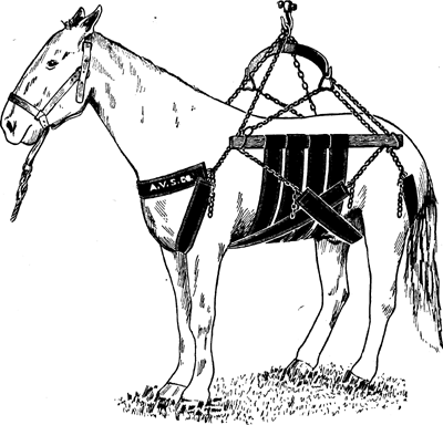 Fig. 6—A sling made in two parts so that horses may be supported without use of central part or bodice. This sling is more comfortable than is the ordinary style and is particularly useful in cases that require a long period of this manner of confinement.