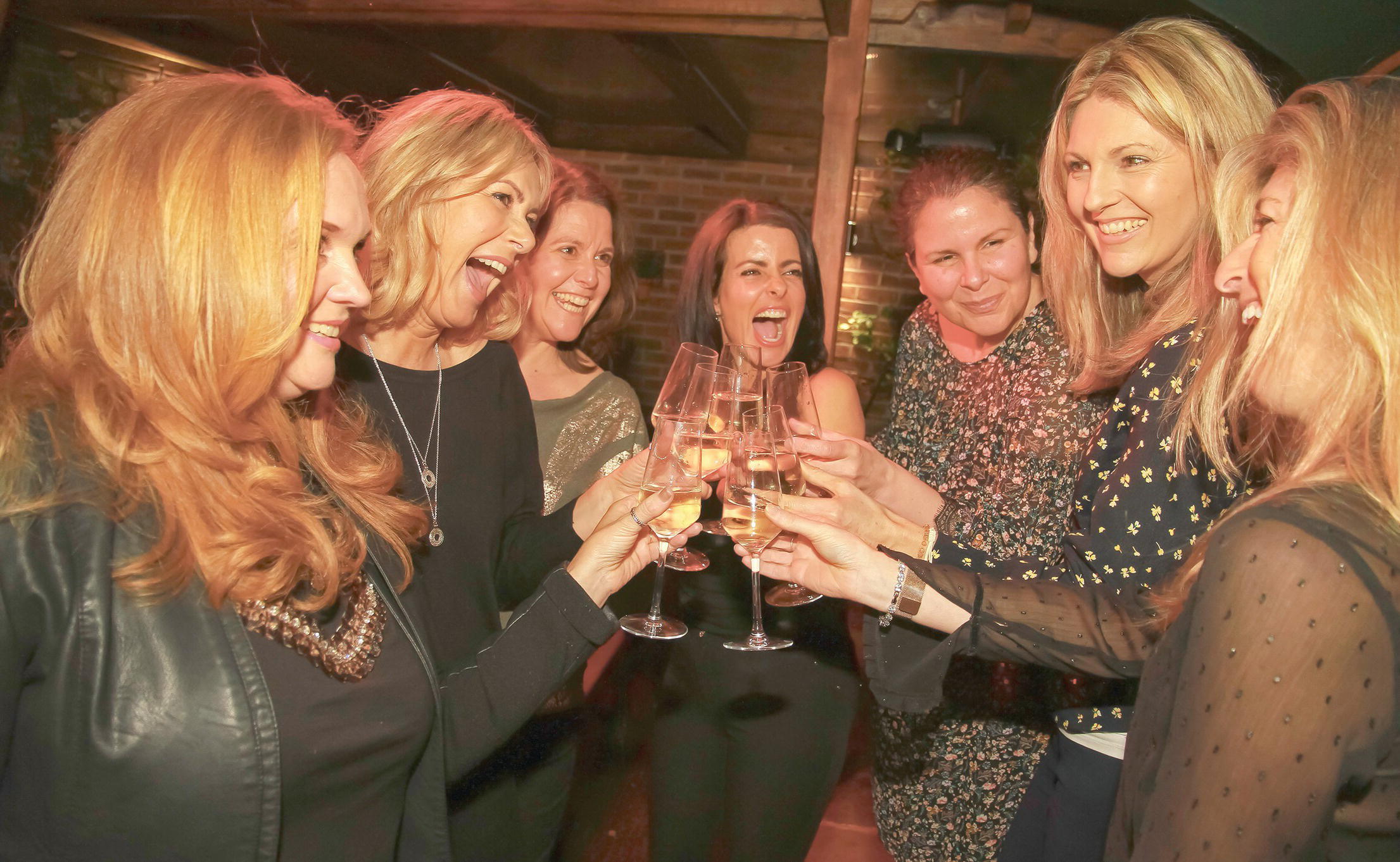 Photo displaying a group of seven women smiling at each other and toasting their drinks.