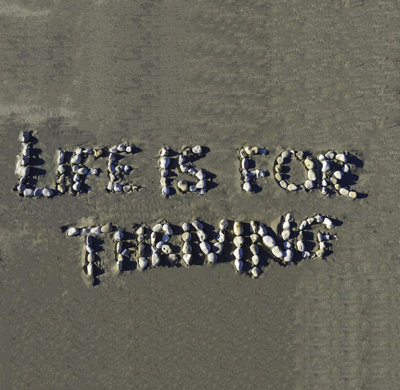 Photo displaying embedded pebbles in sand forming a sentence, “Life is for thriving.”