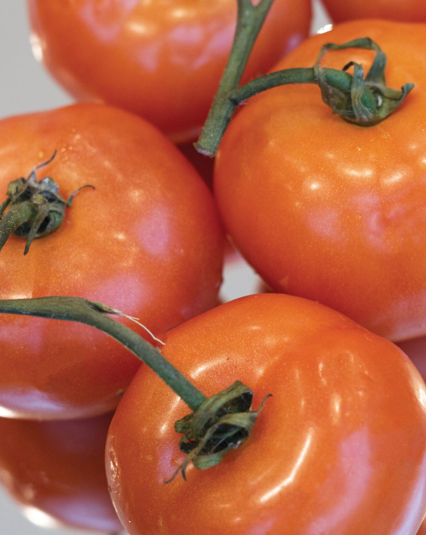 Photo of tomatoes.