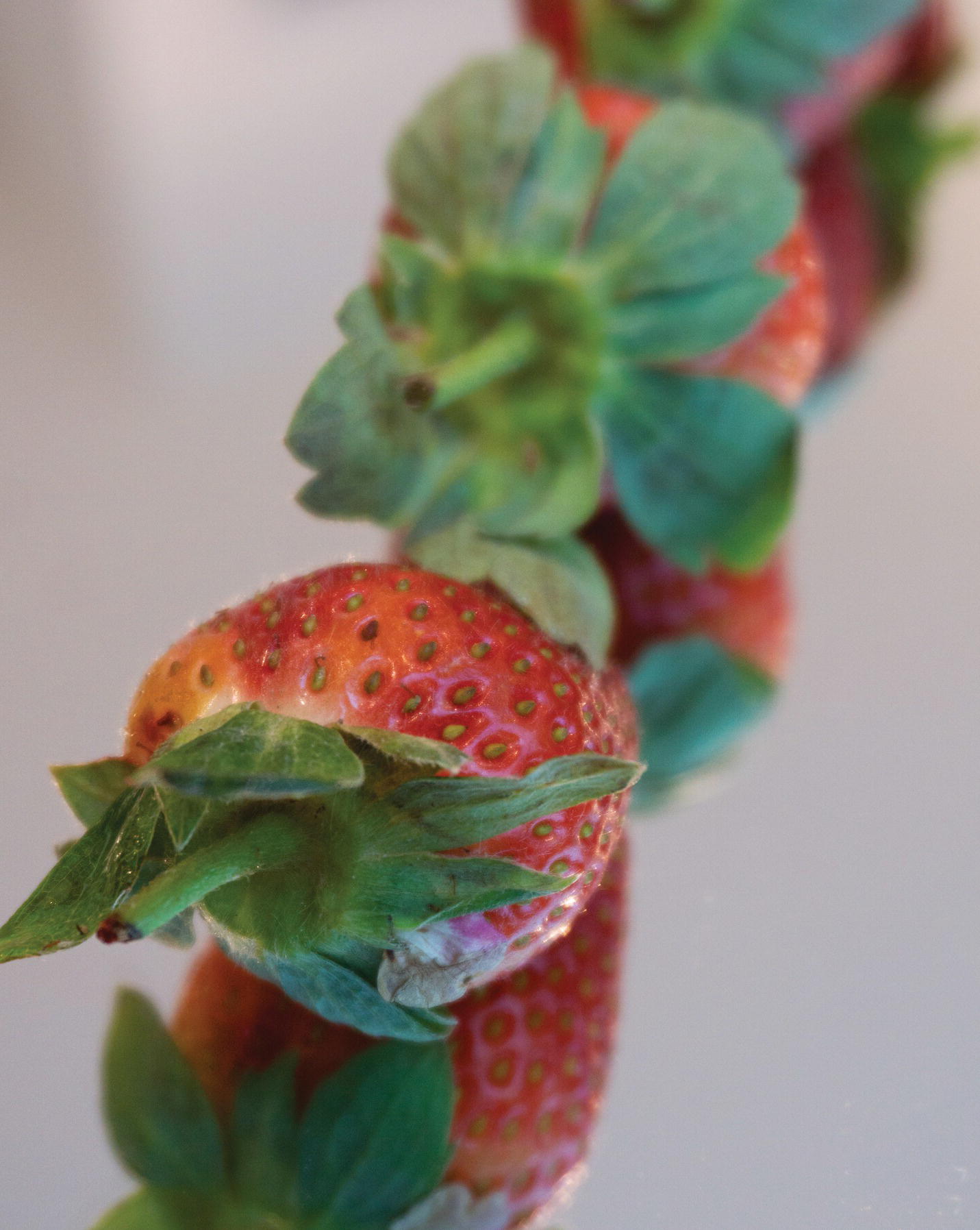 Photo displaying three strawberries.