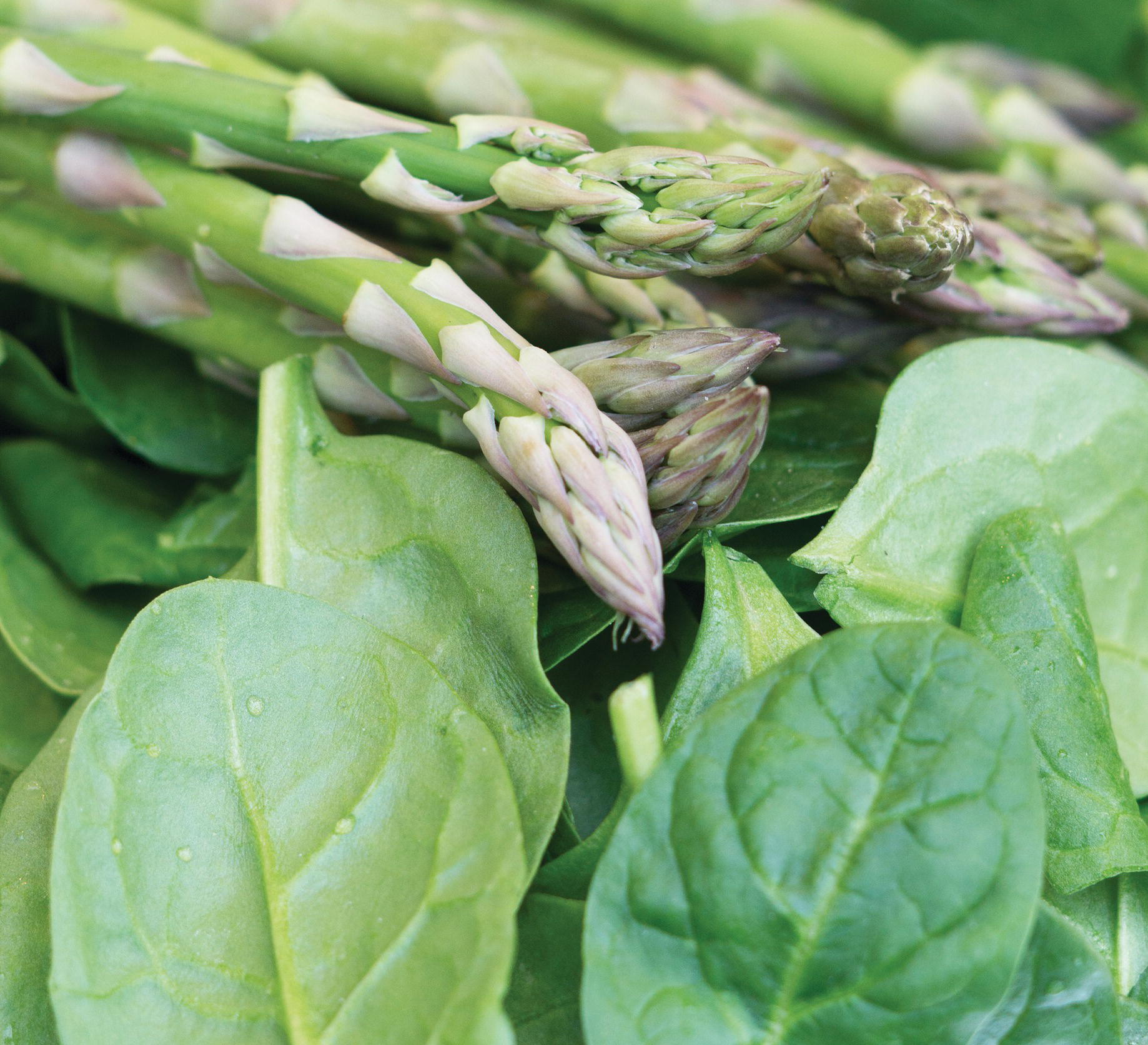 Photo displaying asparagus and spinach.