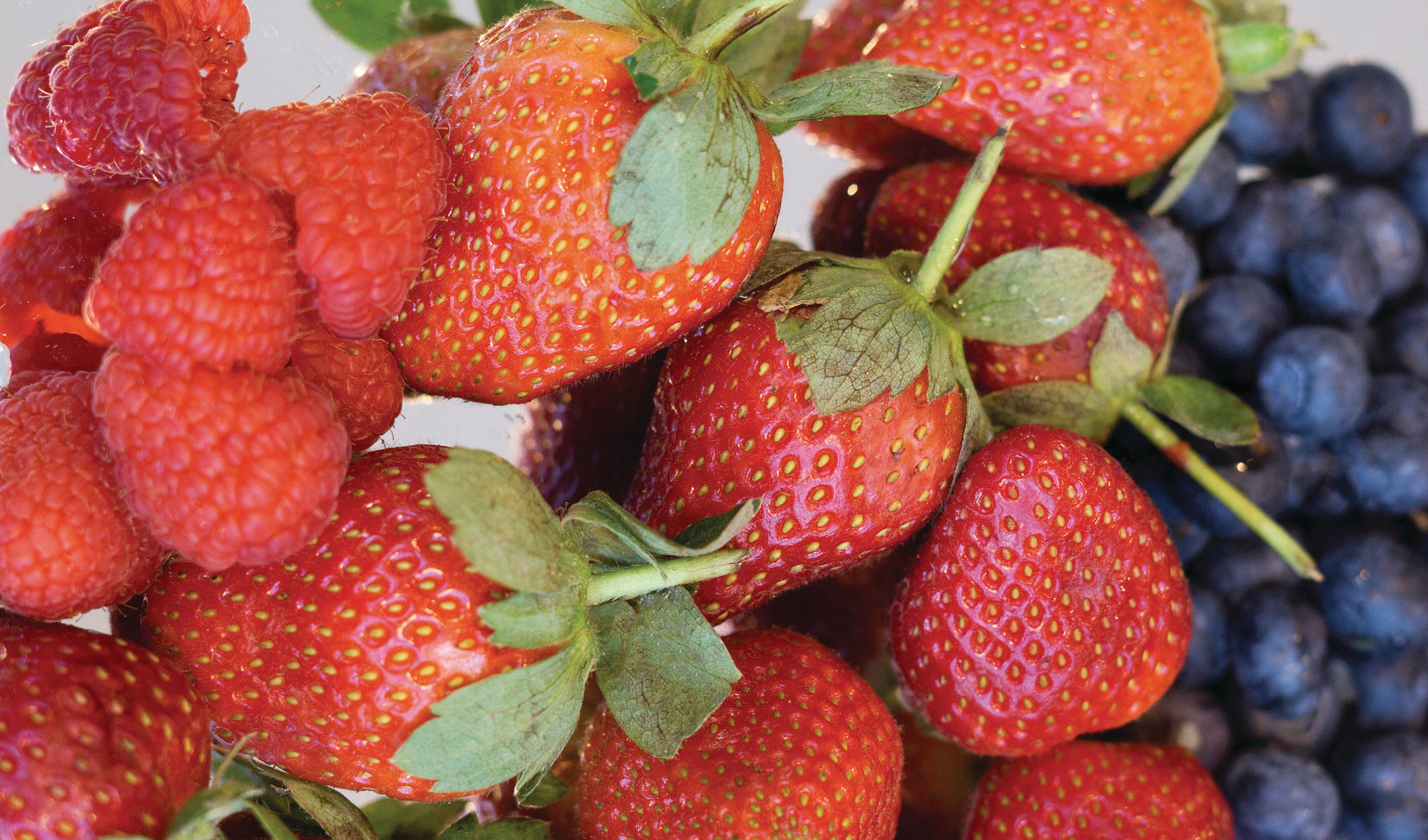 Photo displaying strawberries, raspberries, and blueberries.