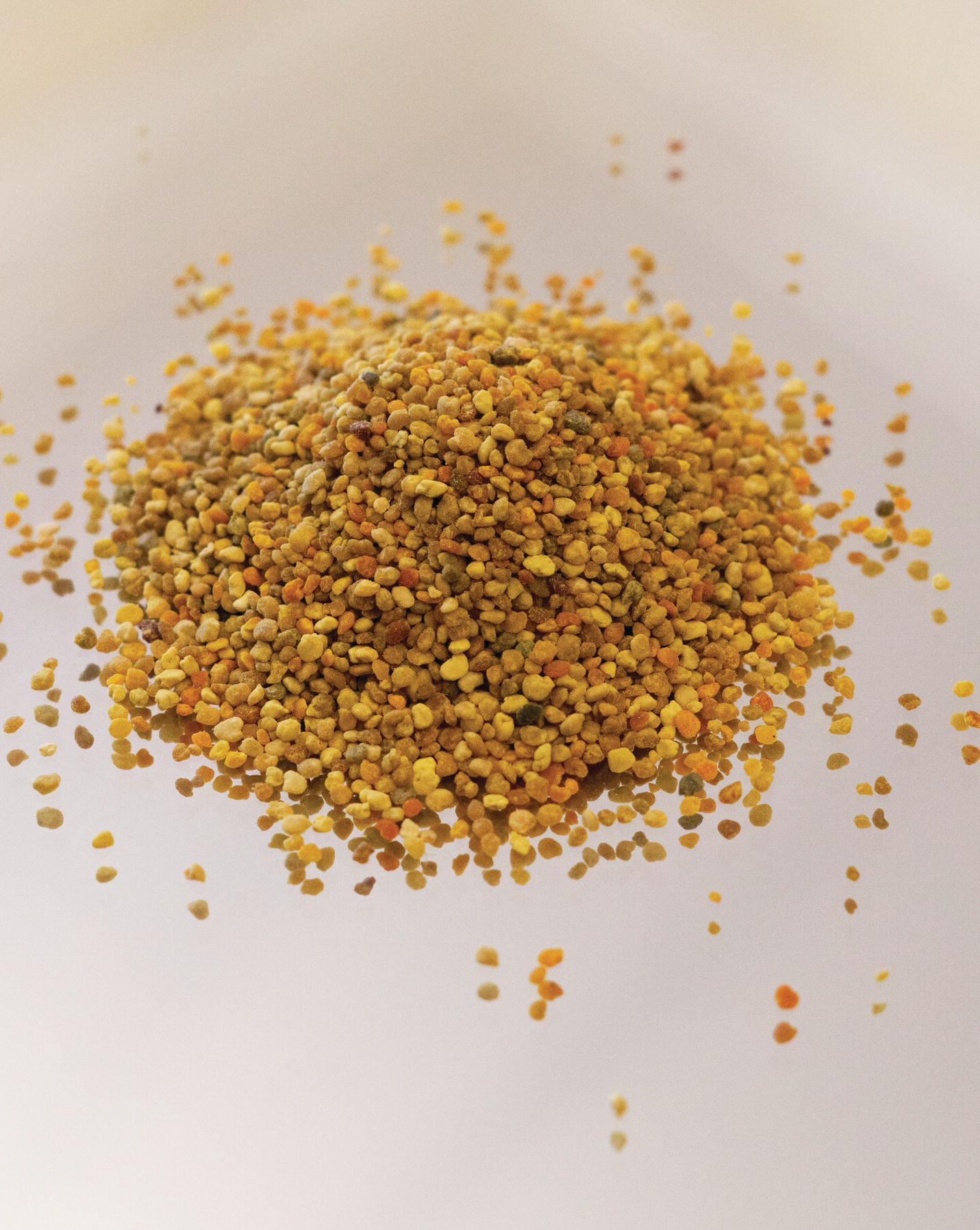 Photo displaying a heap of bee pollen.