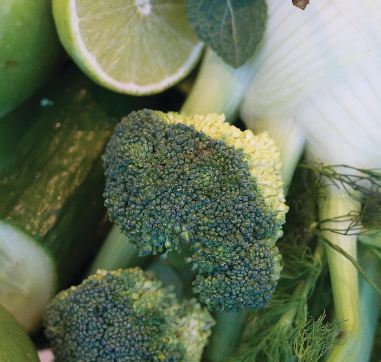 Photo displaying sliced lime, broccoli, cucumber, green apple, and fennel.