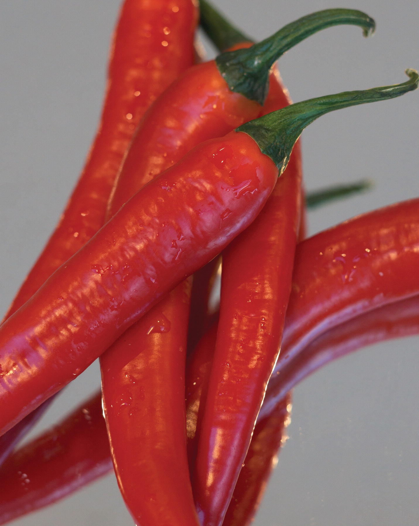 Photo displaying chili peppers.