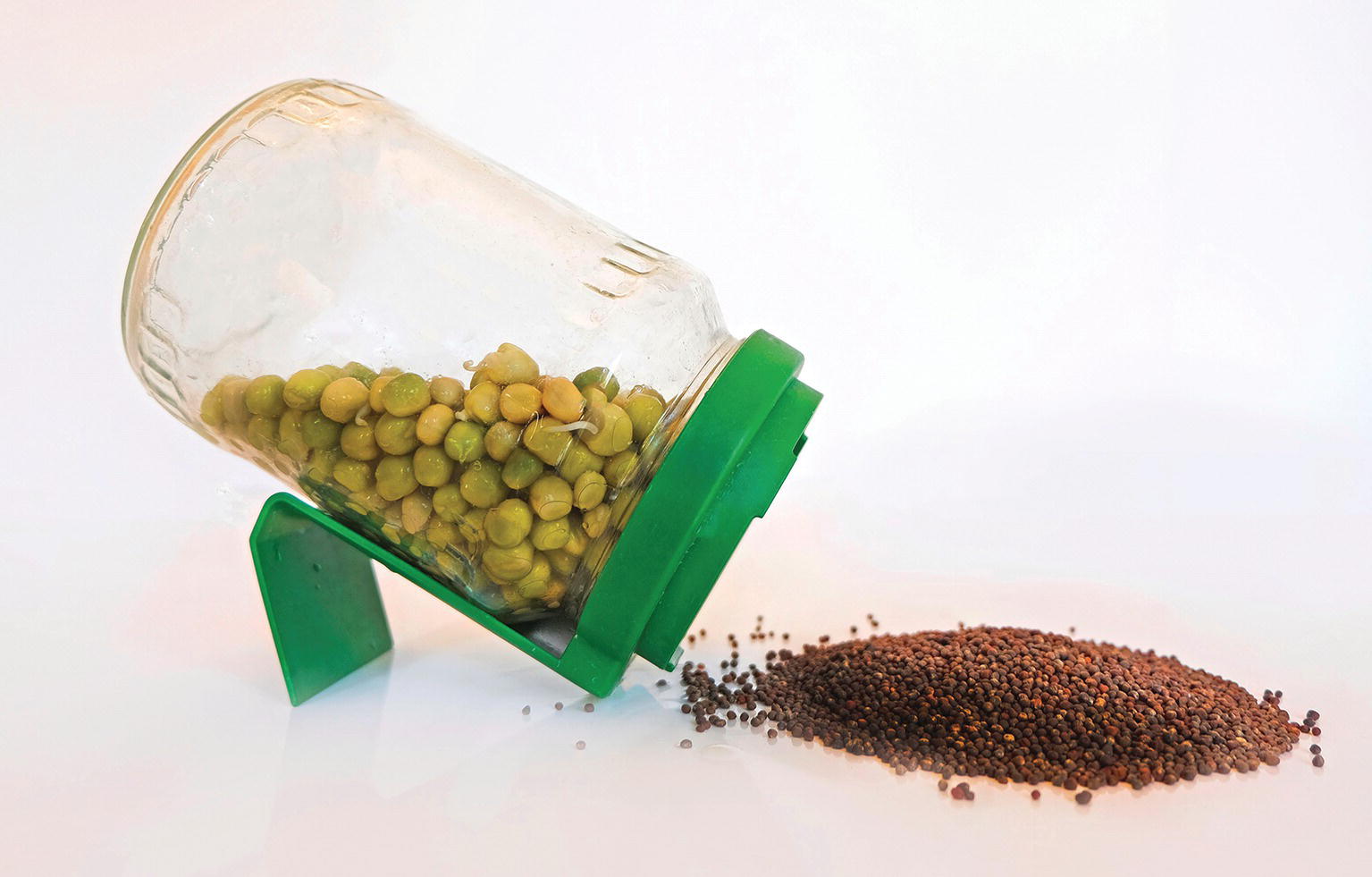 Photo displaying a heap of mustard seeds and a tilted jar containing green peas.