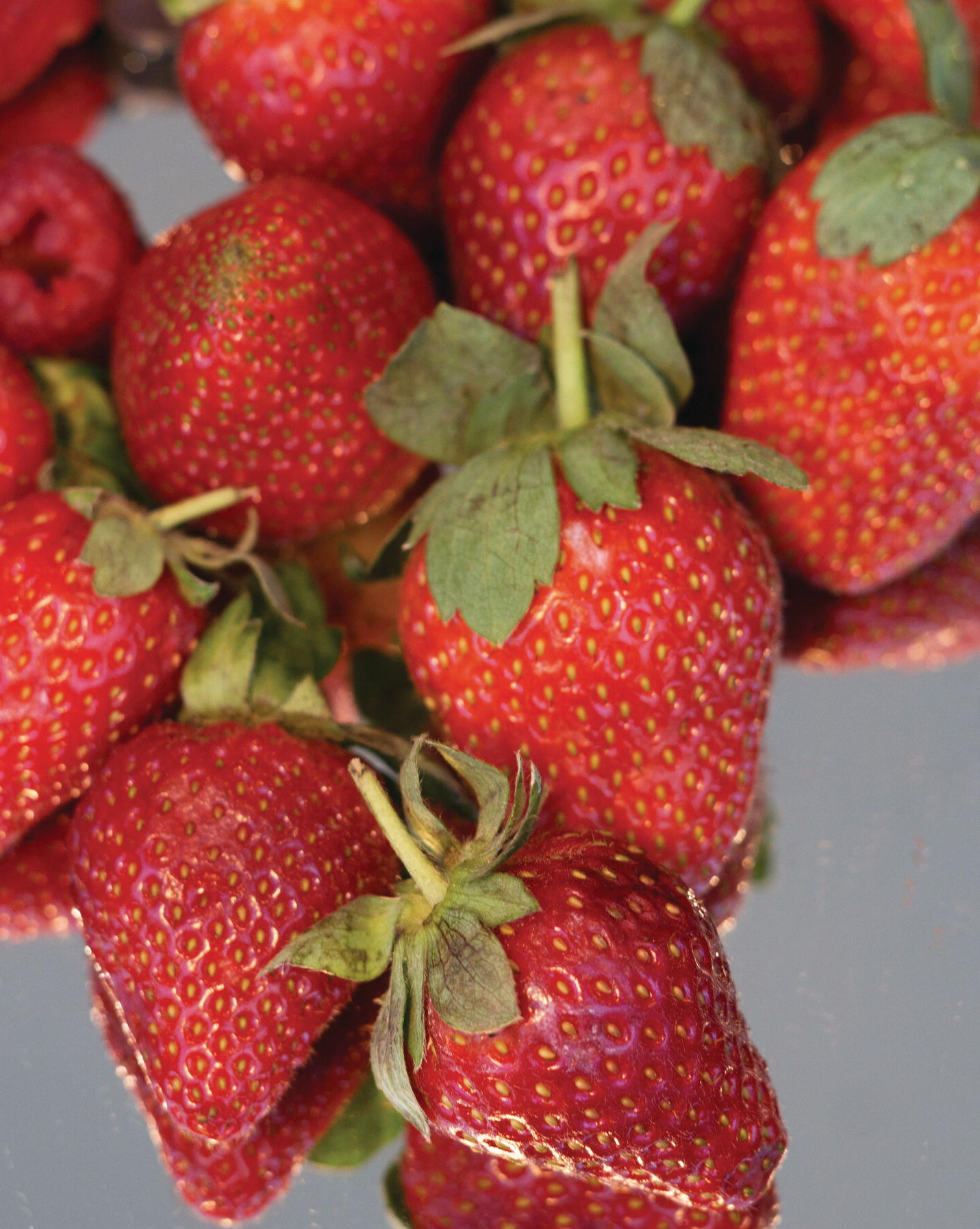 Photo displaying strawberries.