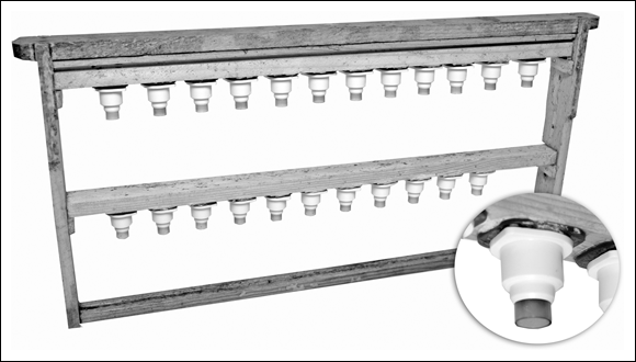 Picture of a cell bar frame containing one or more bars that hold plastic or wax queen cups vertically into which larvae are grafted.