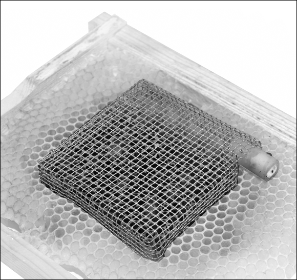 Picture of a push-in queen cage that helps to confine a queen to just a few cells. The eggs laid in these cells are the ones that will be used for grafting.