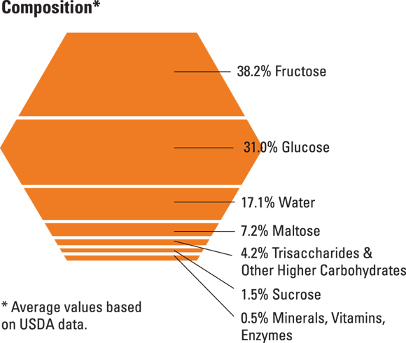 Illustration of a typical breakdown of honey content - a percentage composition of the average values based on data from the USDA.