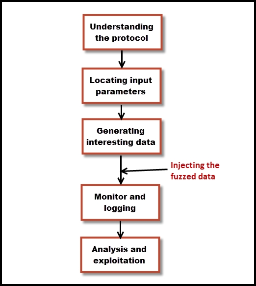 Fuzzing steps