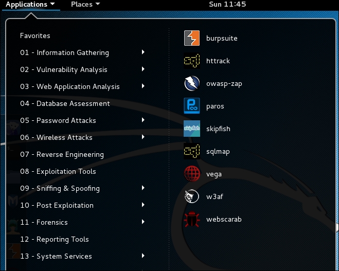 Search and destroy with Burp Suite