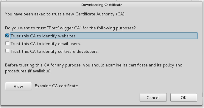 Installing the Burp Suite security certificate