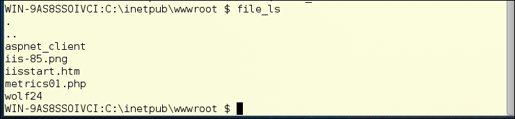 Using filesystem commands in Weevely