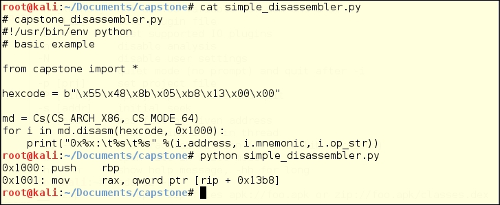 Create your own disassembling code with Capstone