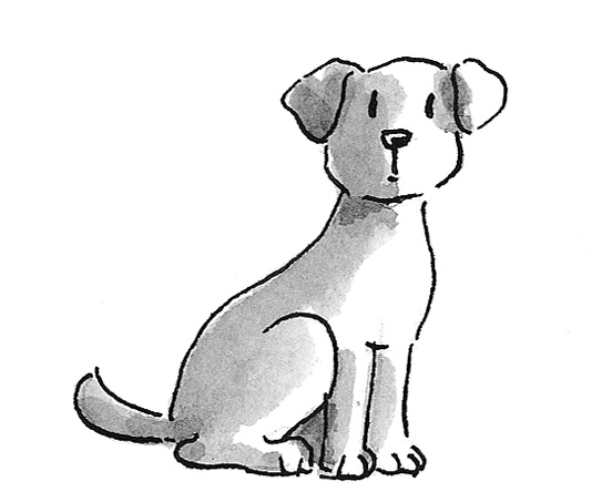 022-17100-Nele-Hundeschule-059.tif