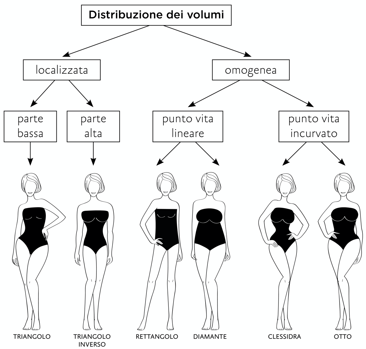 Schema della distribuzione dei volumi