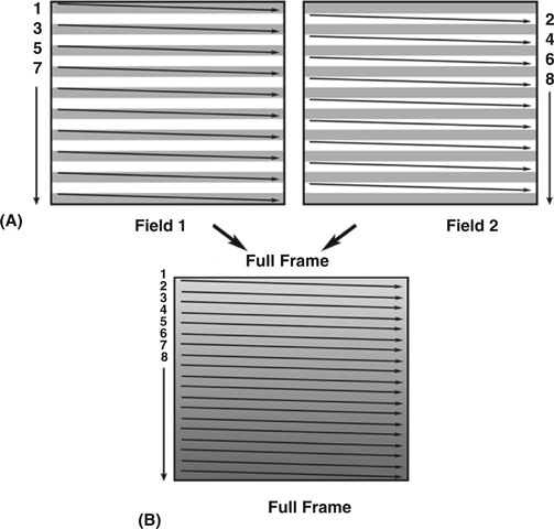 Figure 12.4 (A) Interlaced Scanning and (B) Progressive Scanning