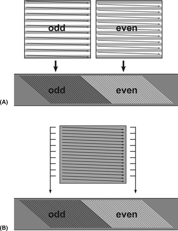 Figure 13.4 (A) Interlace Scan and (B) Progressive Segmented Frame