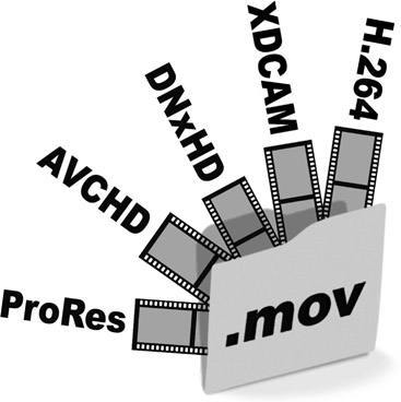 Figure 19.3 Various Codecs Using .MOV File Container Format