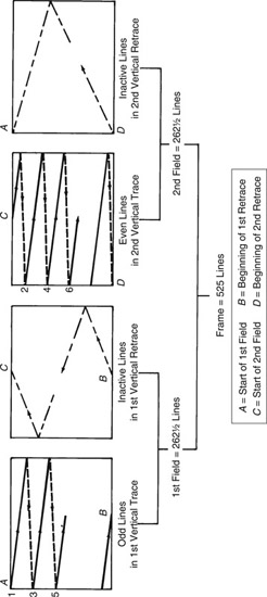 Figure 3.4 Interlace Scanning