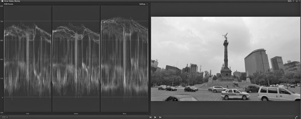 Figure 9.11b (Plate 16) Video Scene in Parade Mode