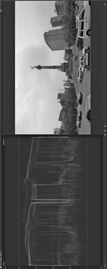 Figure 9.5 (Plate 10) Normal Video Scene on Software Scope