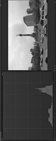 Figure 9.6 Histogram Display