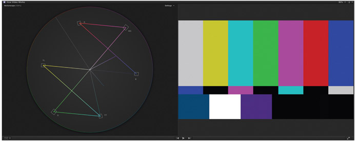 Plate 11 (Figure 9.8) Color Bars Displayed on Software Vectorscope